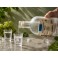Aguardiente de Orujo de la conservera del prepirineo